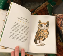 Load image into Gallery viewer, Owls: Our Most Charming Bird, Matt Sewell