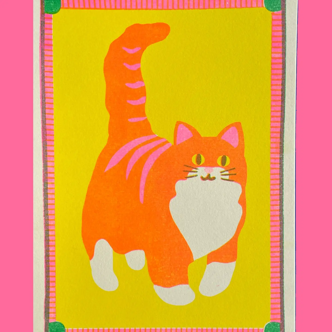 Orange cat mini riso print, Naomi Wilkinson