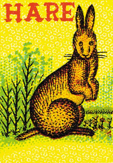 Vintage matchbox label hare print
