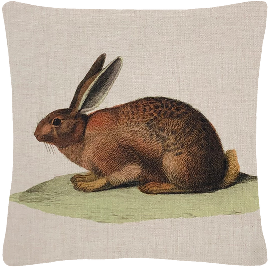 Brown bunny pillow