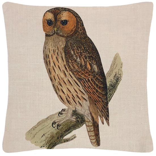 Owl throw pillow