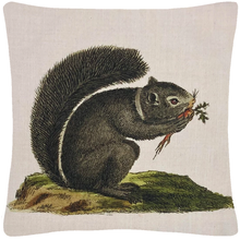 Load image into Gallery viewer, Squirrel throw pillow
